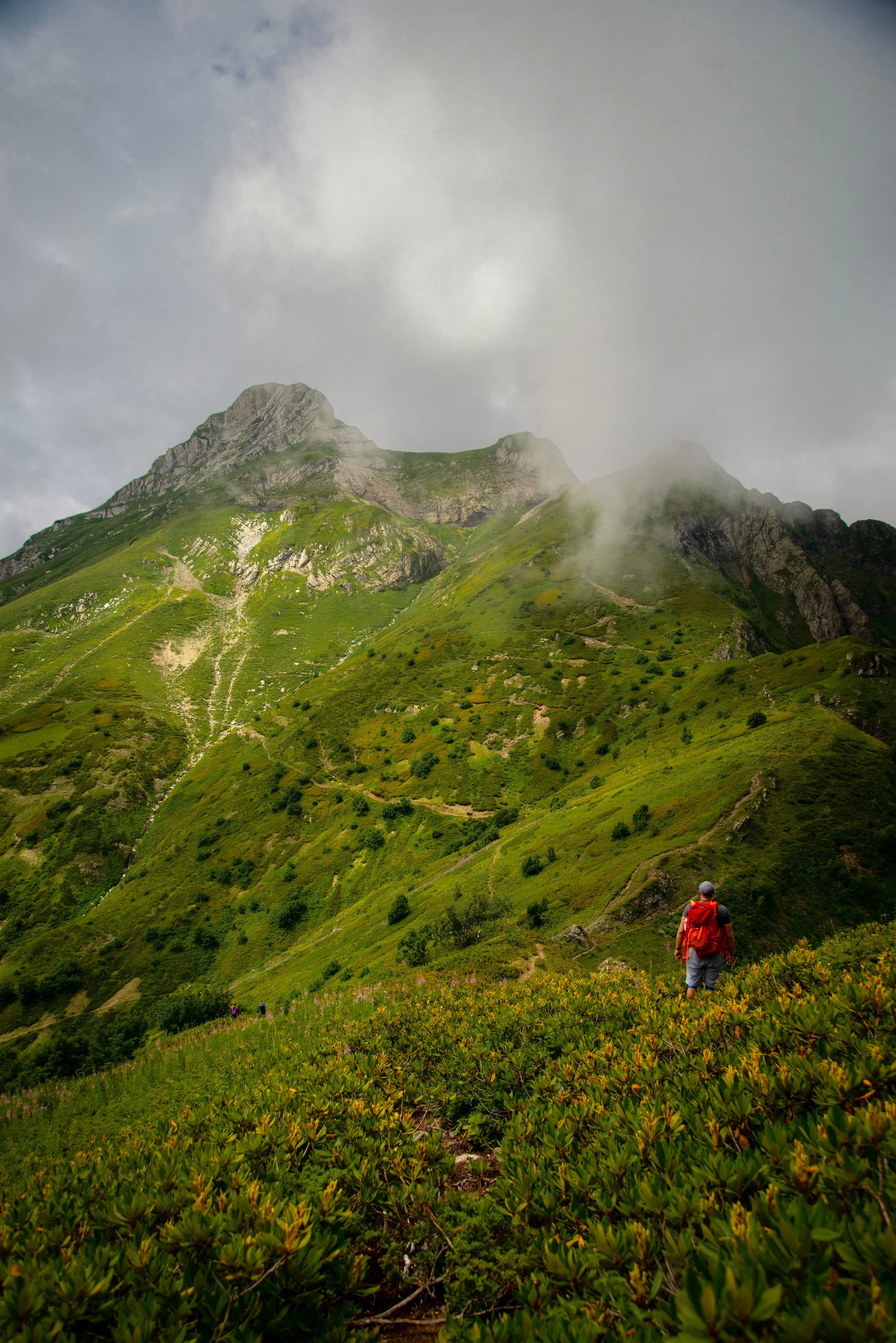 Nature style packages, tours and stays on Wheyer